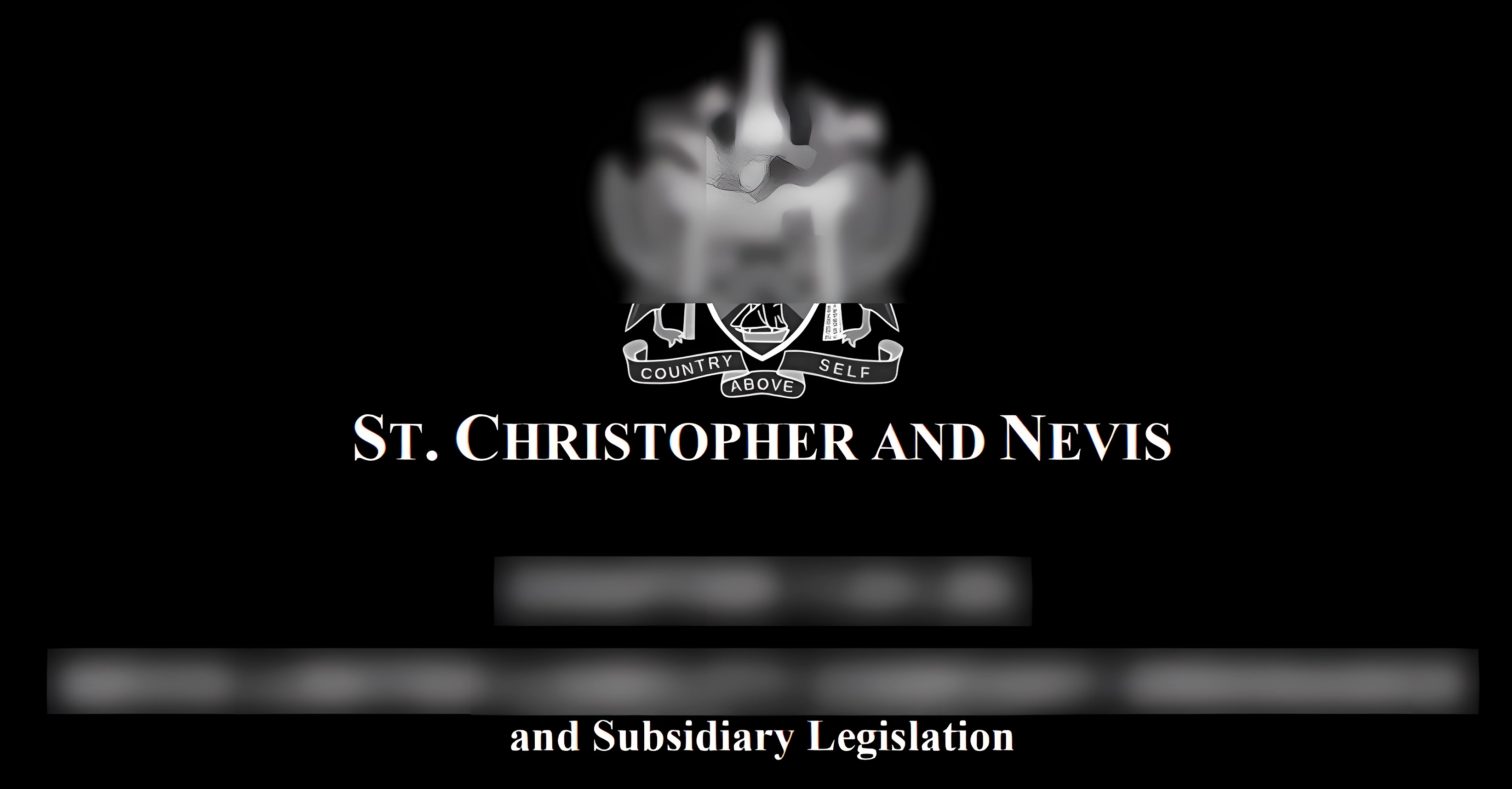 Forhåndsvisning av Loi Nevis LLC