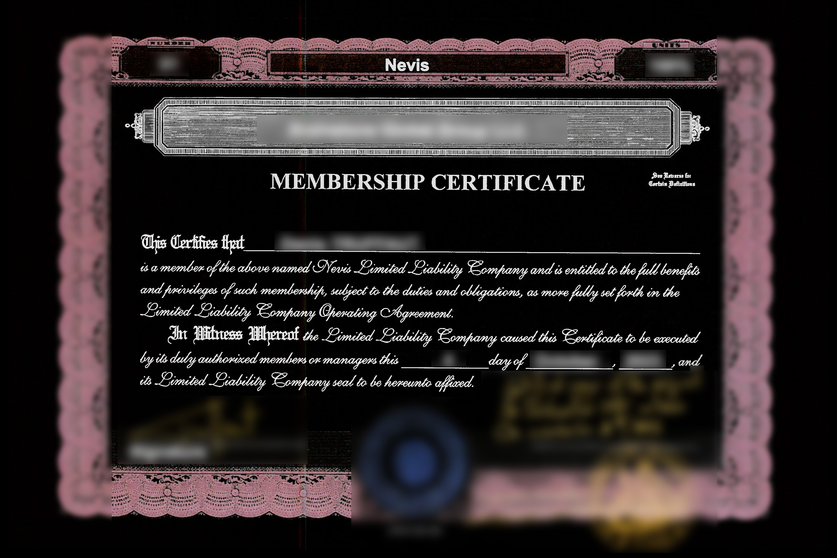 Certificado de Membro de Nevis Certificado de Ações Ações da Empresa